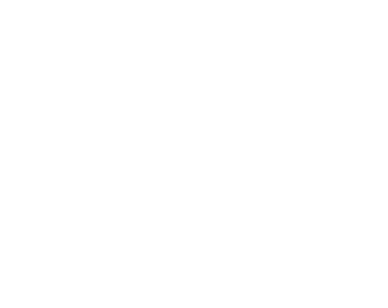 Ausidore Logo