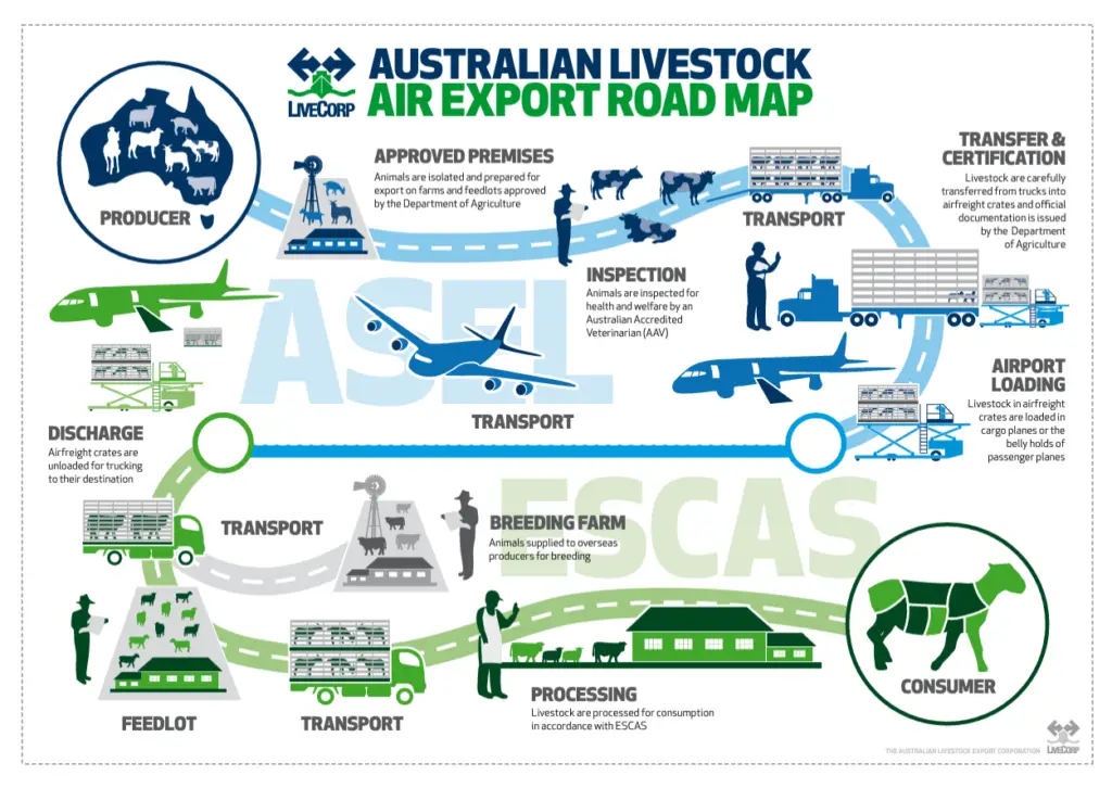 Generic_live export roadmap